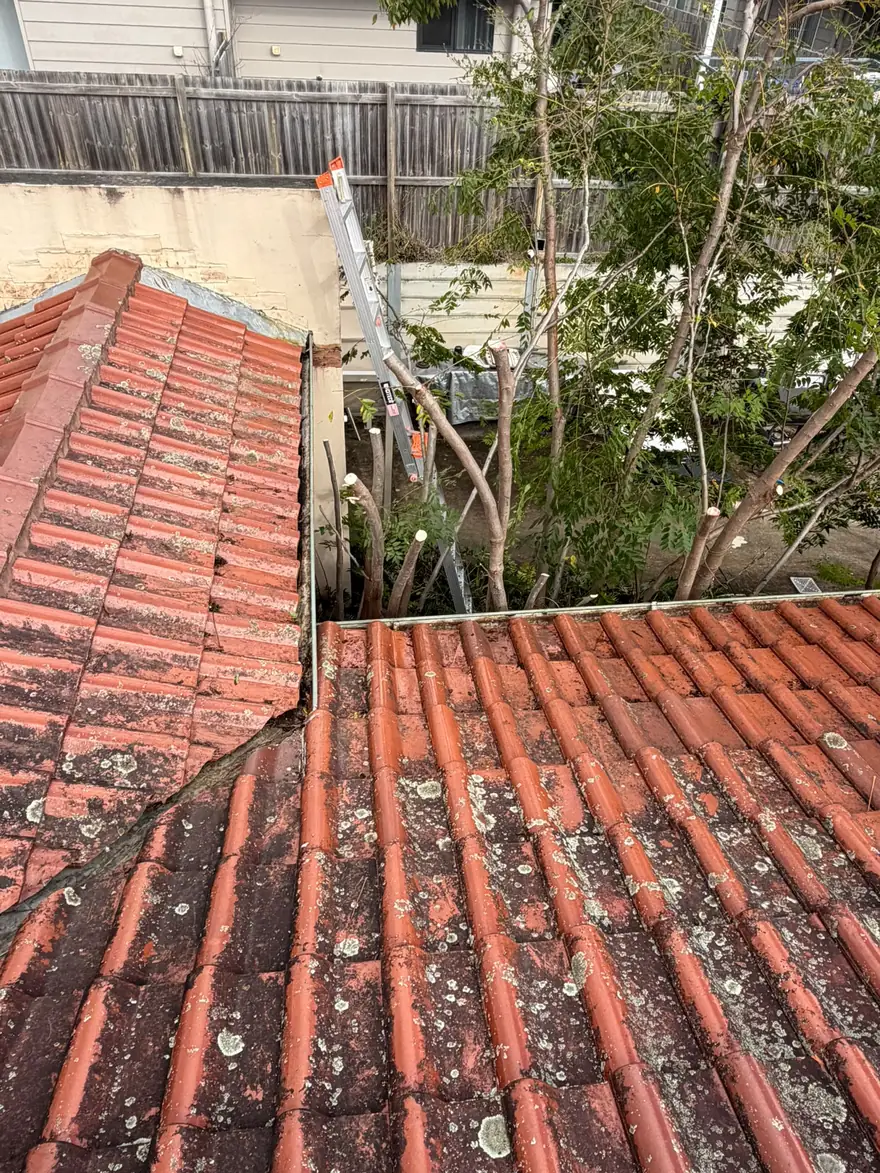 Roof soft wash after