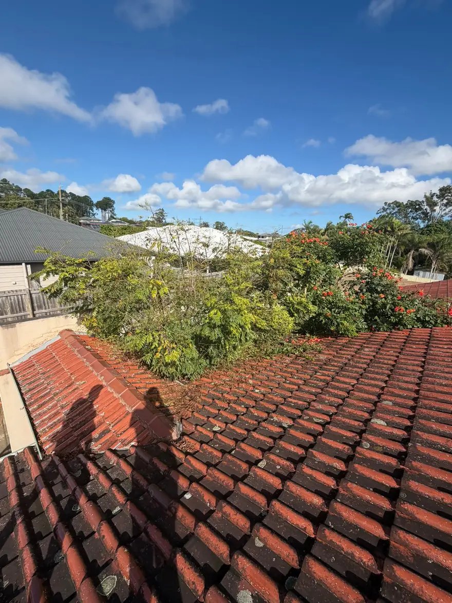 House & Render Soft Wash after, Robina