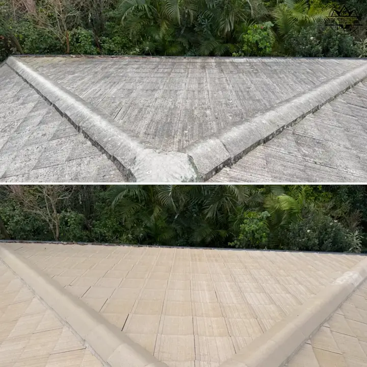 Driveway pressure washing Logan Brisbane