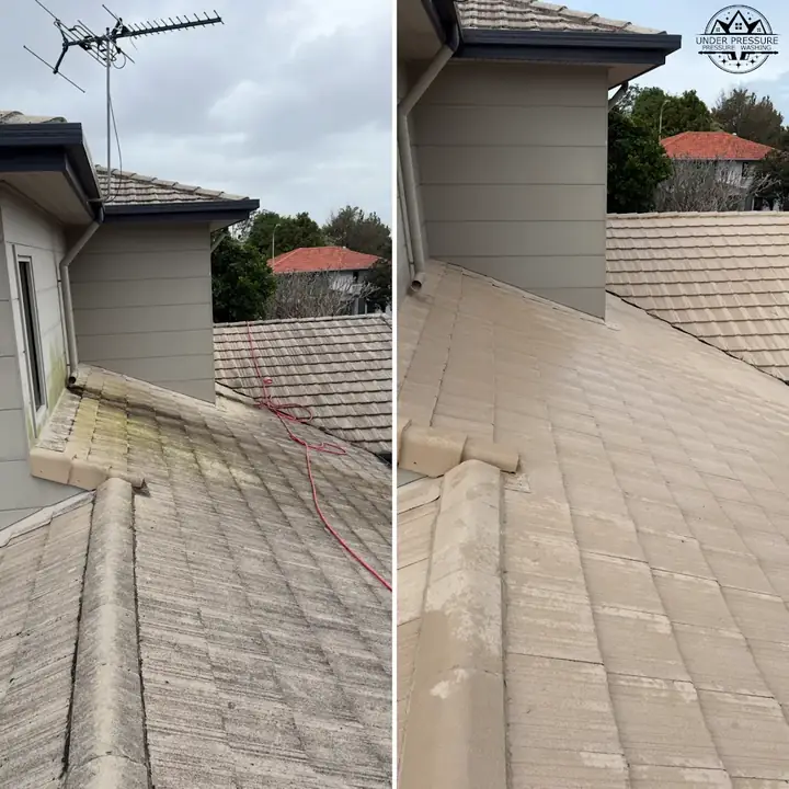 Queenslander soft wash Wynnum