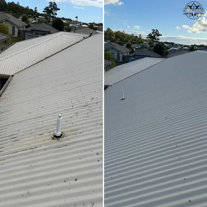 Gutter clean Logan Brisbane