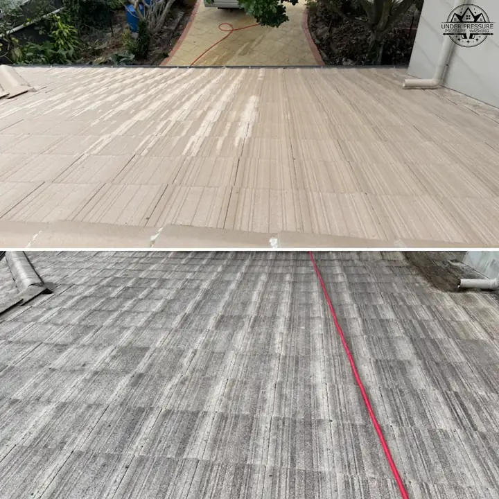 Roof lichen removal Thorneside