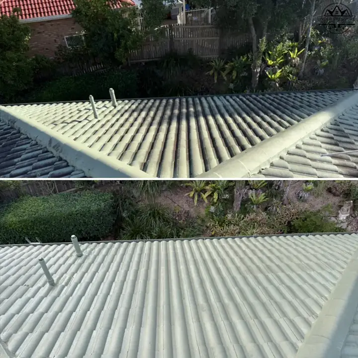 Roof clean Helensvale Gold Coast